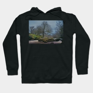 EARTH STONE WOOD WATER Hoodie